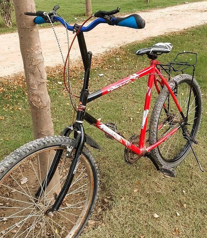 Phoenix Cycle 26 size all ok condition 6