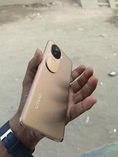 Vivo