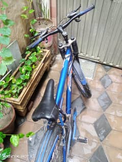 Phoenix cycle