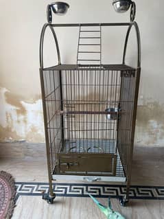 Fancy Cage WhatsApp 03241065517