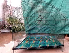 D shape cage