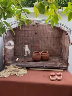 Han pinjra for sale