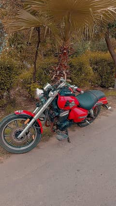 Harley Davidson sportster models