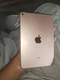 iPad mini 5 (256)