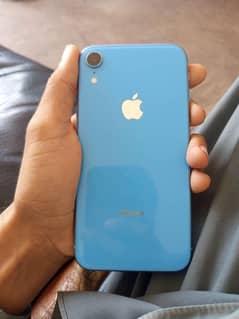 xr