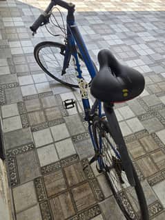 Giant hybrid cycle XL