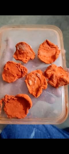 Antique Rare Collectable Hobby