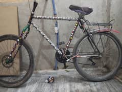 Full size phoenix cycle