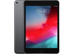 ipad mini 5
