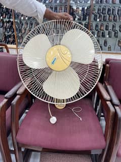 Royal Fan (18 inch) 10 piece
