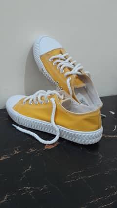Vanns Converse‍