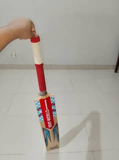 cricket