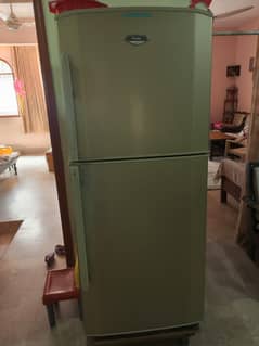 fridge