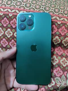 13 pro max