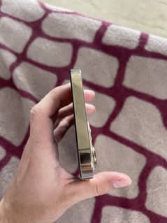 iPhone 12pro max jv