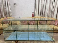 Shop Counter