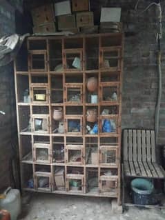 15 portion wood cage