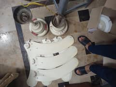Ceiling fans (Pair)