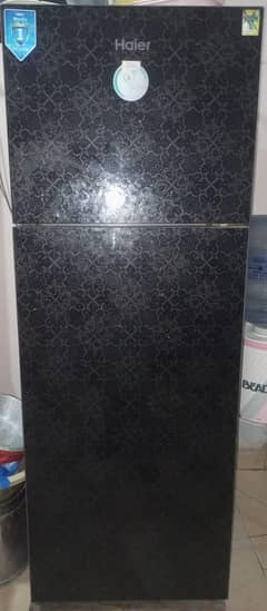 Hair Refrigerator