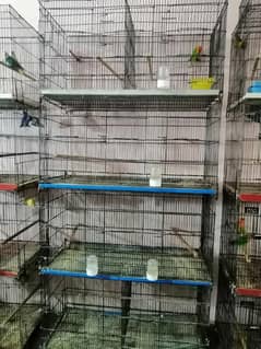 5 portion cages for sale