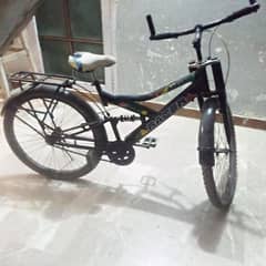 adult bicycle in a running condition.