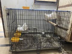 Cages