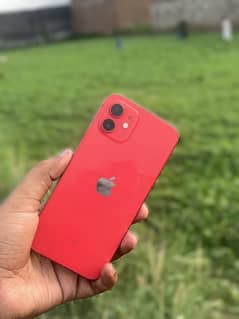 iPhone12
