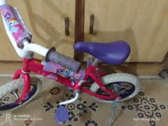 kid's iccycle