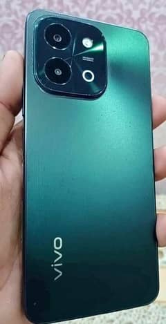 vivo