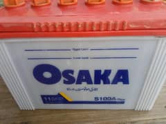 11 Plates osaka beatrry
