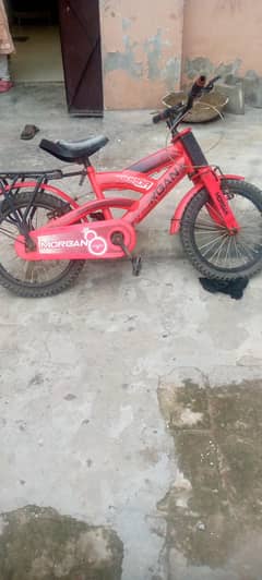 5 month old only real price was 16 thousand when  I buy it