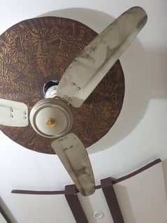 Fan for Sale