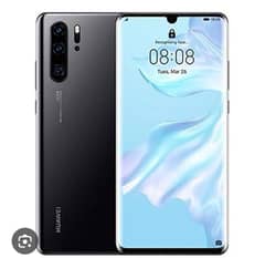 P13pro