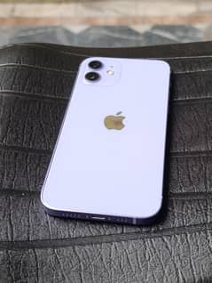 iphone 12 (256gb) pta approved
