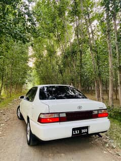 corolla xe