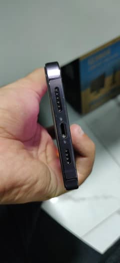 14 pro max
