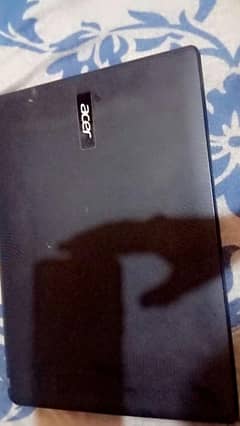 acer