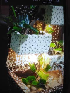 indoor