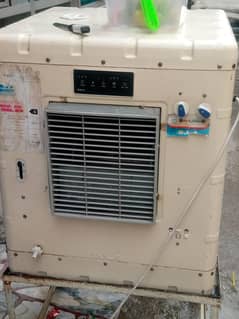 Irani medium size coolar