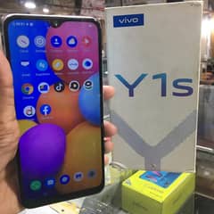 vivo