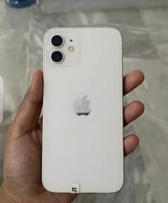 IPhone 12 Pta Approved
