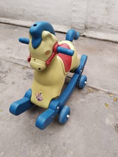 Baby horse