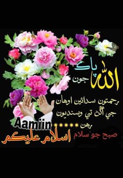 I need job Qualification B. A Age 33