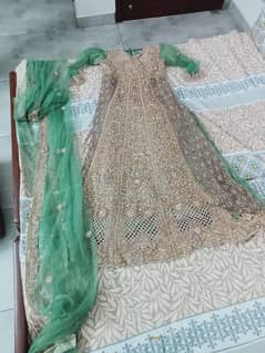 green colour