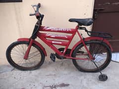 Phoenix cycle