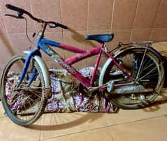 Bicycle