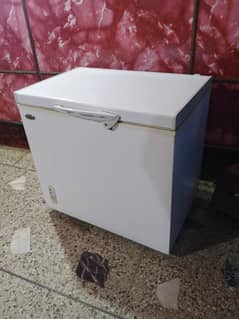 waves D freezer