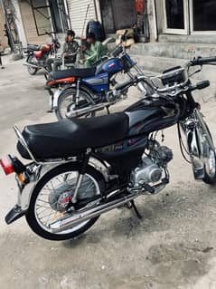 Cd 70 2024