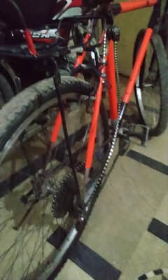 phoenix cycle