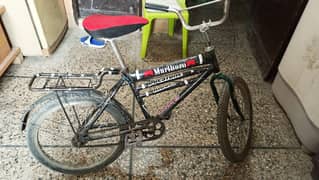 Cycle for kids and teenager